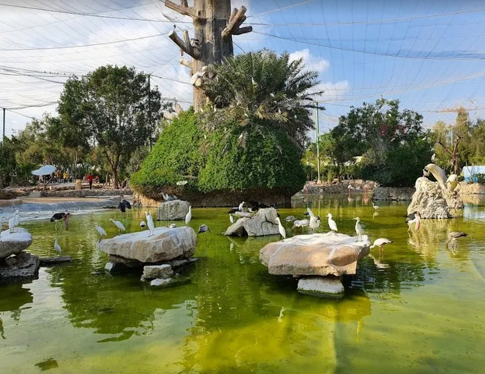 گشت دور جزیره کیش