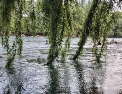باغ تفریحی و گردشگری جیران (چهارمحال و بختیاری)