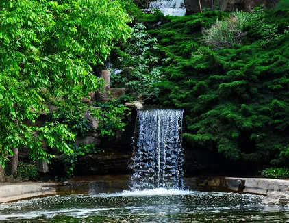 باغ گیاه شناسی ملی ایران (تهران)