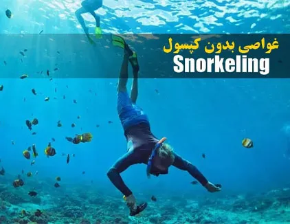 اسنورکلینگ بوشهر