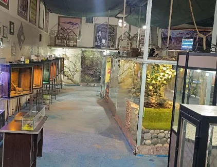 نمایشگاه مارهای زنده آمازون یزد